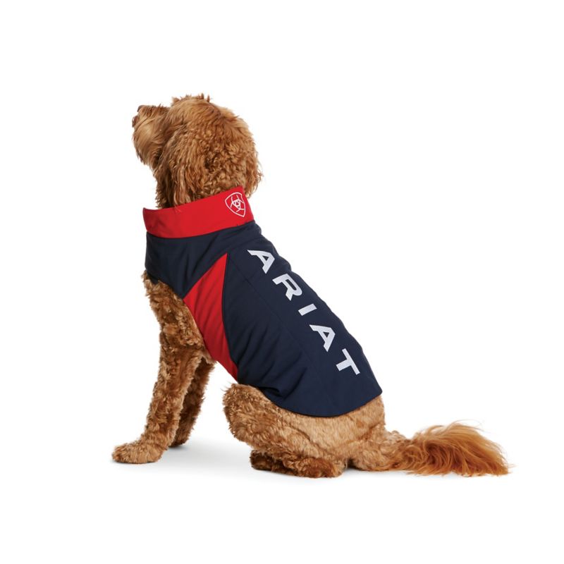 Ariat Team Softshell Dog Jacket L  Navy