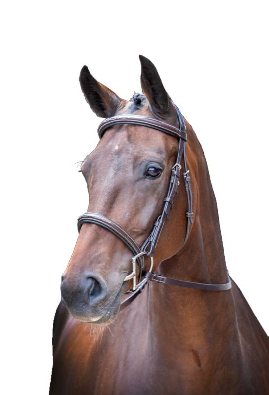 55000HAVANACOB Rossano Amalfi Havana Bridle Cob sku 55000HAVANACOB