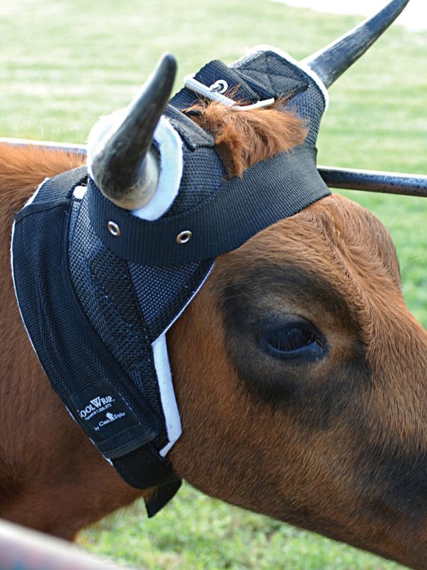 Classic Equine Clear Vision Horn Wrap