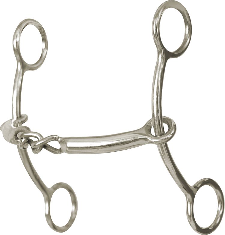 Classic Equine SS Goostree Chain Gag Bit 5in