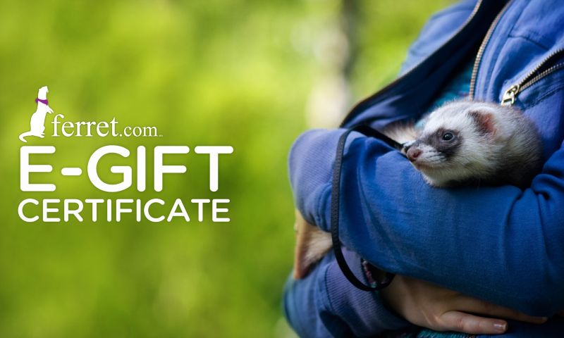 Ferret.com Gift Certificates $10 Gift Certificate