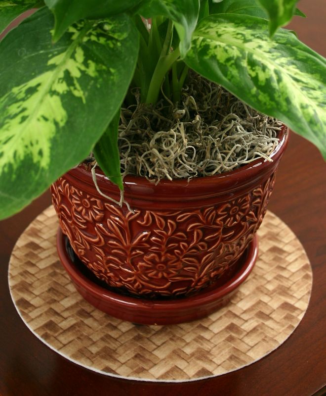 Table Plant Coasters 4pc 10 Inch Bamboo Weave Best Price