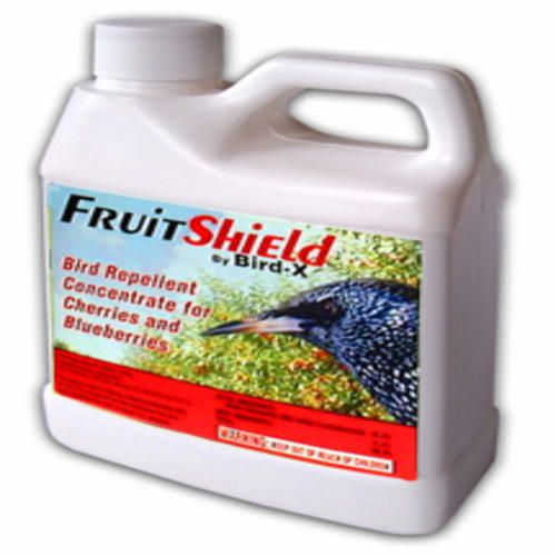 Fruit Shield
