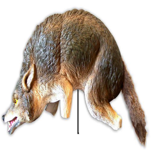Coyote Replica 3D