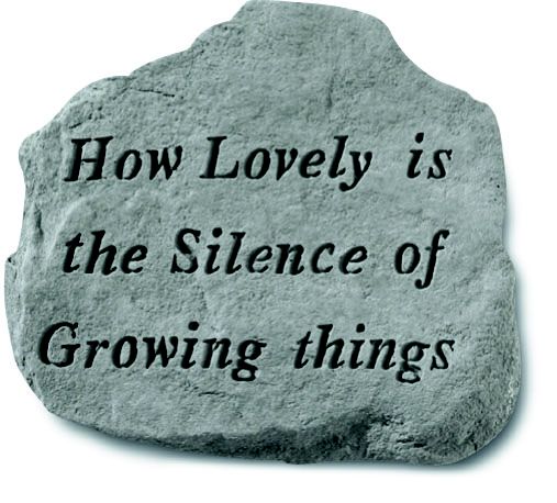 Stepping Stone- How lovely is the silence