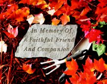 Stepping Stone- In memory of