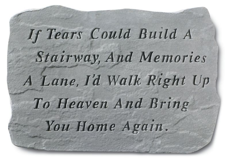 Stepping Stone- If tears could