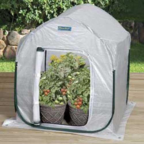 PlantHouse Greenhouse