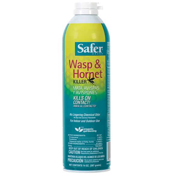 wasps and hornets. Safer Wasp and Hornet Killer