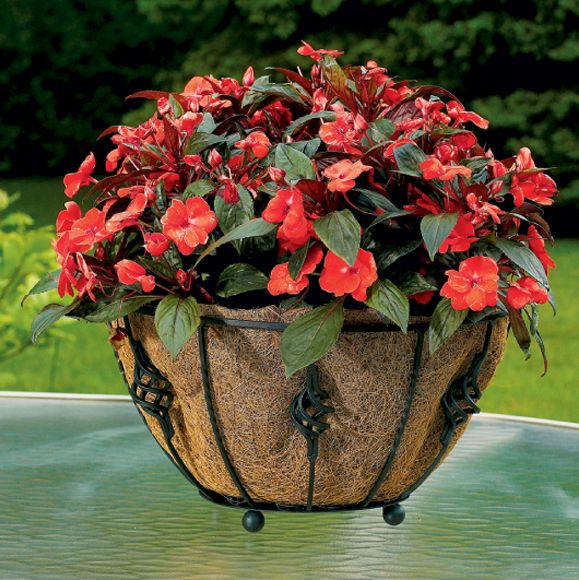 CobraCo Antoinette Floor Planter