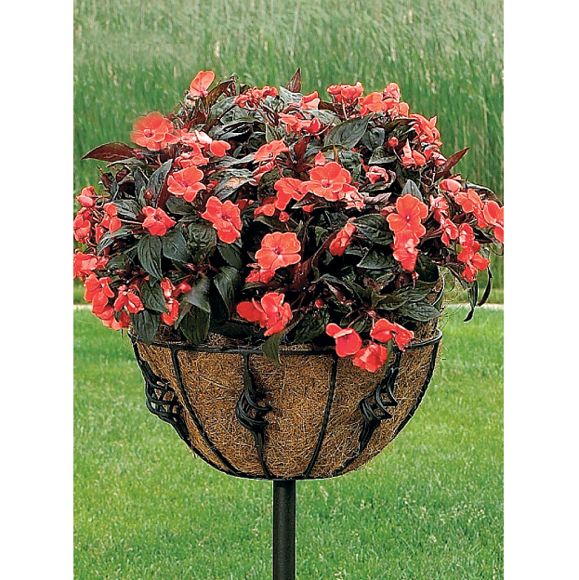 Cobraco Antoinette Stake Planters 2 Pack