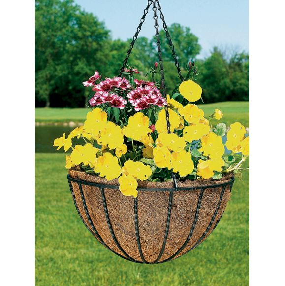 Cobraco Canterbury Hanging Basket