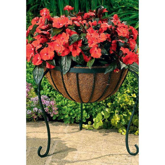 Cobraco Canterbury Basket Plant Stand