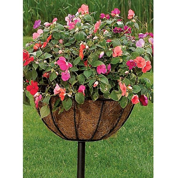 Cobraco Canterbury Stake Planters 2 Pack