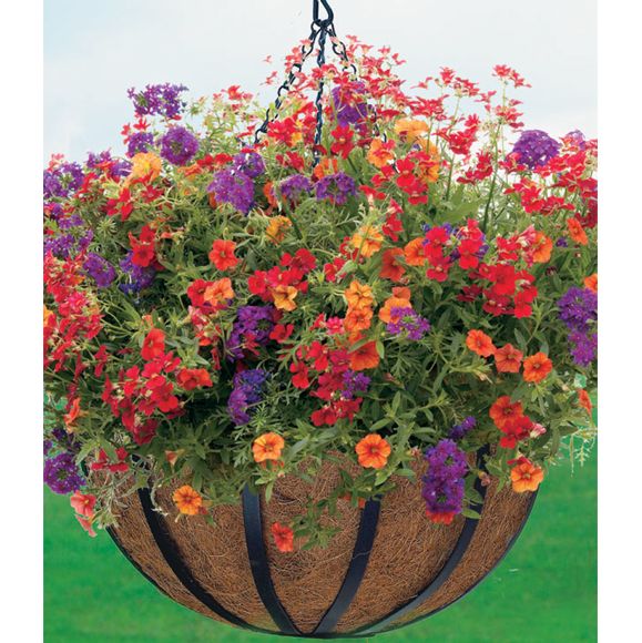 Cobraco English Flat Metal Style Hanging Basket