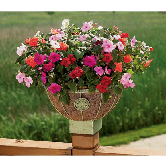 Cobraco Eminence Multi-Purpose Planter