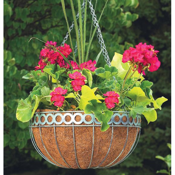 Cobraco Queen Elizabeth Style Hanging Basket