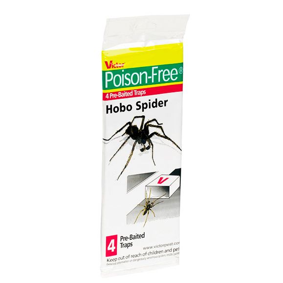 Victor Hobo Spider Traps 4 Pack