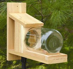 G21888 - Goldcrest Squirrel Jar Feeder