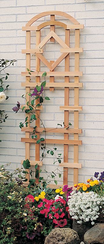 Charleston Cedar Trellis