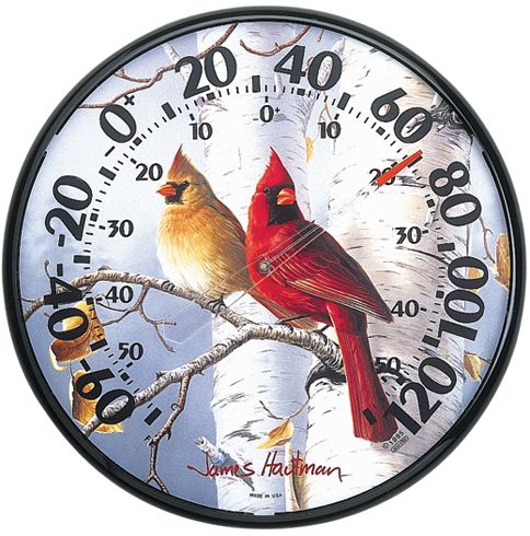 Cardinal Thermometer