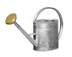 Galvanized Tall Watering Can 1 Gallon
