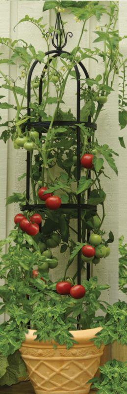 Wetsel Designer Tomato Tower