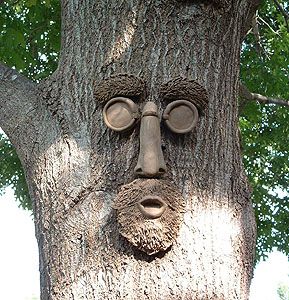 Shademaster Tree Face
