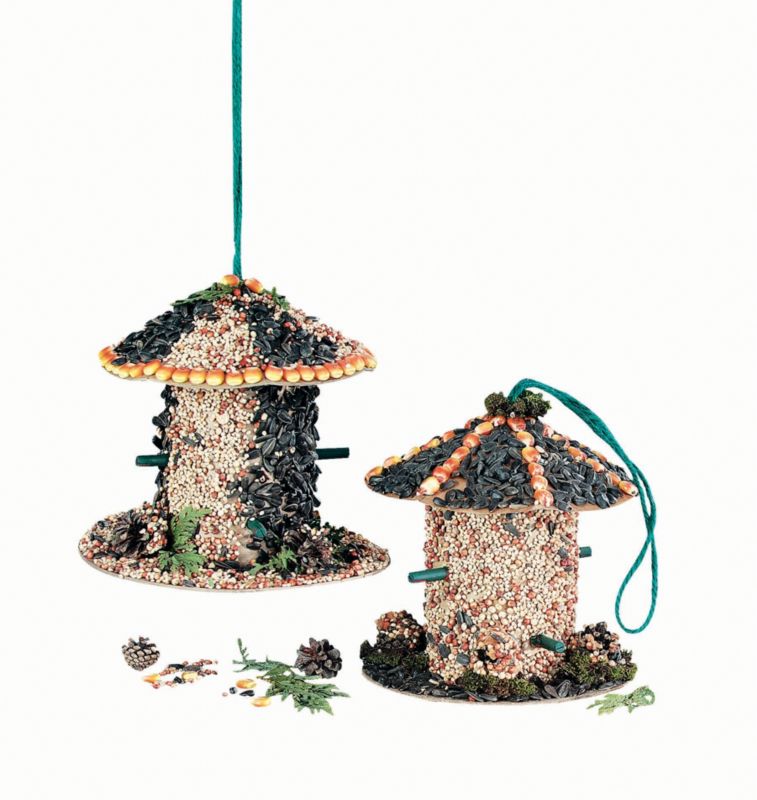 Create Your Own Edible Bird Feeder Kit