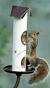 G22213 - En-Joy-Um Squirrel Feeder