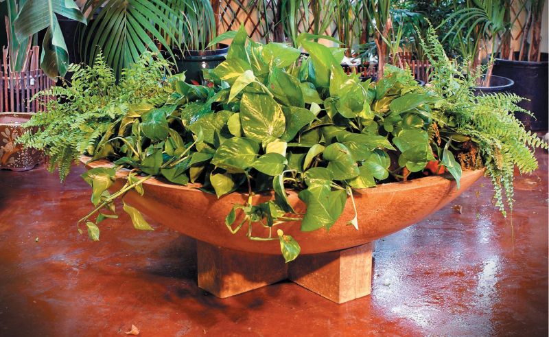 52in Wide Cross Wok Planter