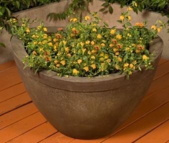 19in Medium Majestic Planter