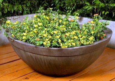 17in Small Majestic Planter