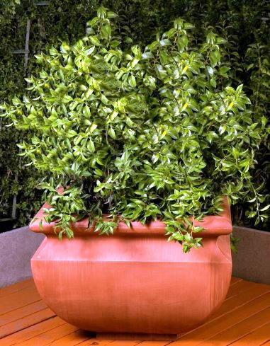 33.5in Mungo Planter