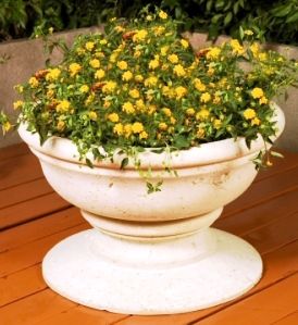 18in Ovate Planter
