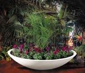 Small Wok Planter