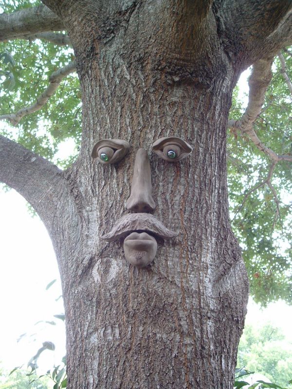 Dagwood Tree Face