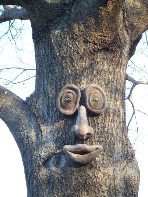 Oakley Tree Face