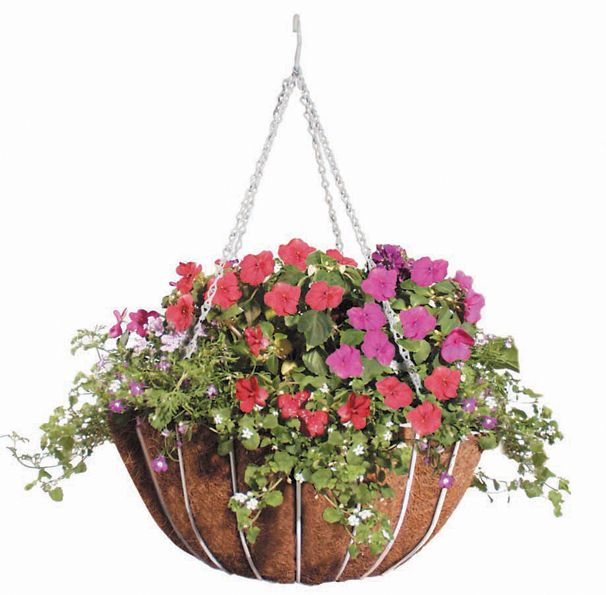 Classic Hanging Basket