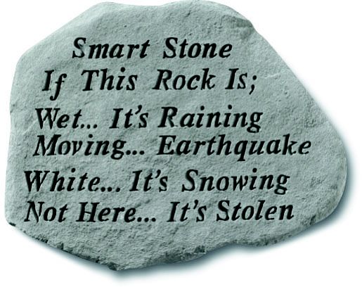 Smart Stone If this Rock is Wet it's Raining