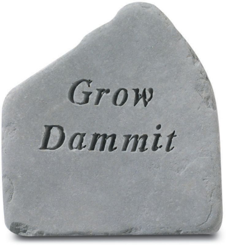 Grow Dammit Accent Rock