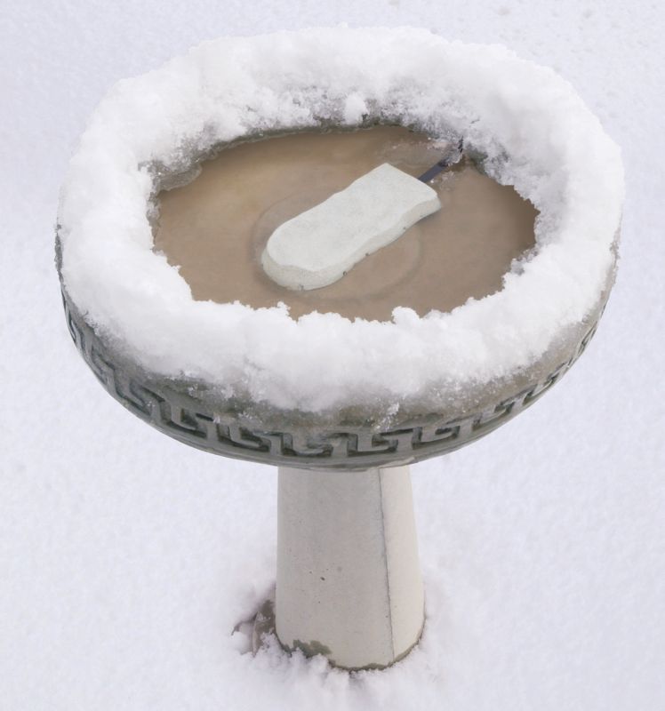 Ice Eliminator Birdbath De-Icer