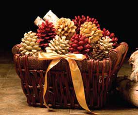 Vail Firecones Set