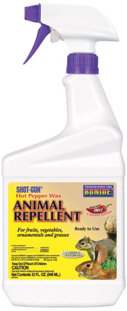 Animal Hot Pepper Wax Qt Rtu