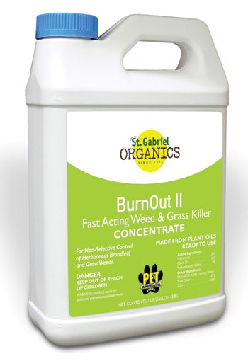 Burnout Gal Concentrate Gallon Concentrate