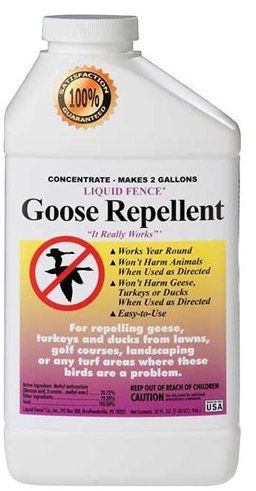 Liquid Fence Geese Quart Concentrate