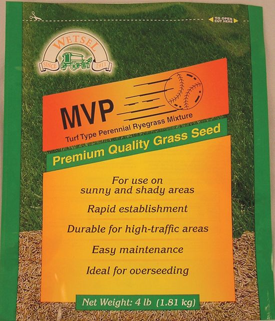 Mvp Perennial Ryegrass Mix