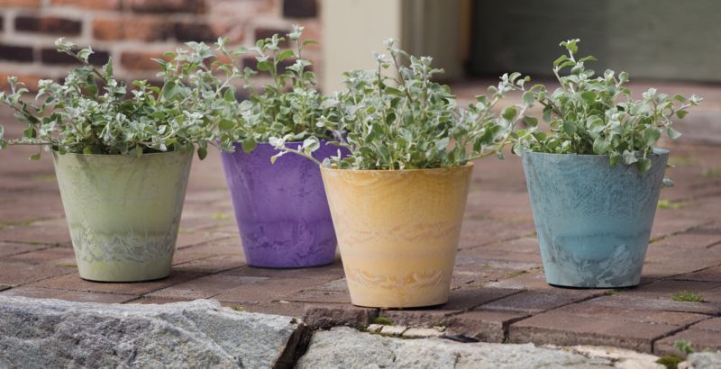 Novelty Napa Pot