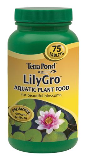Tetra Lily Gro Tablets 25 Tablets Best Price