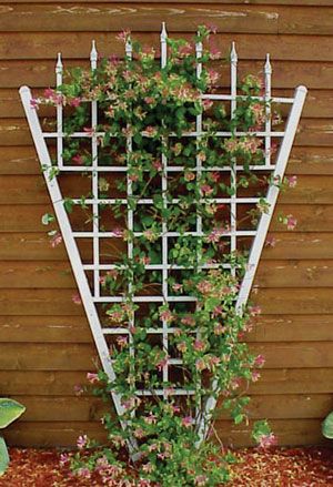 Dura-trel Estate Vinyl Fan Trellis Mocha